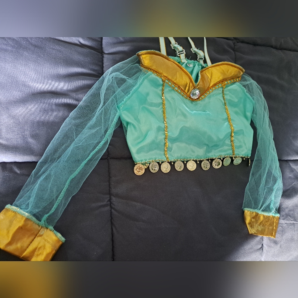 Princess Jazmin costume